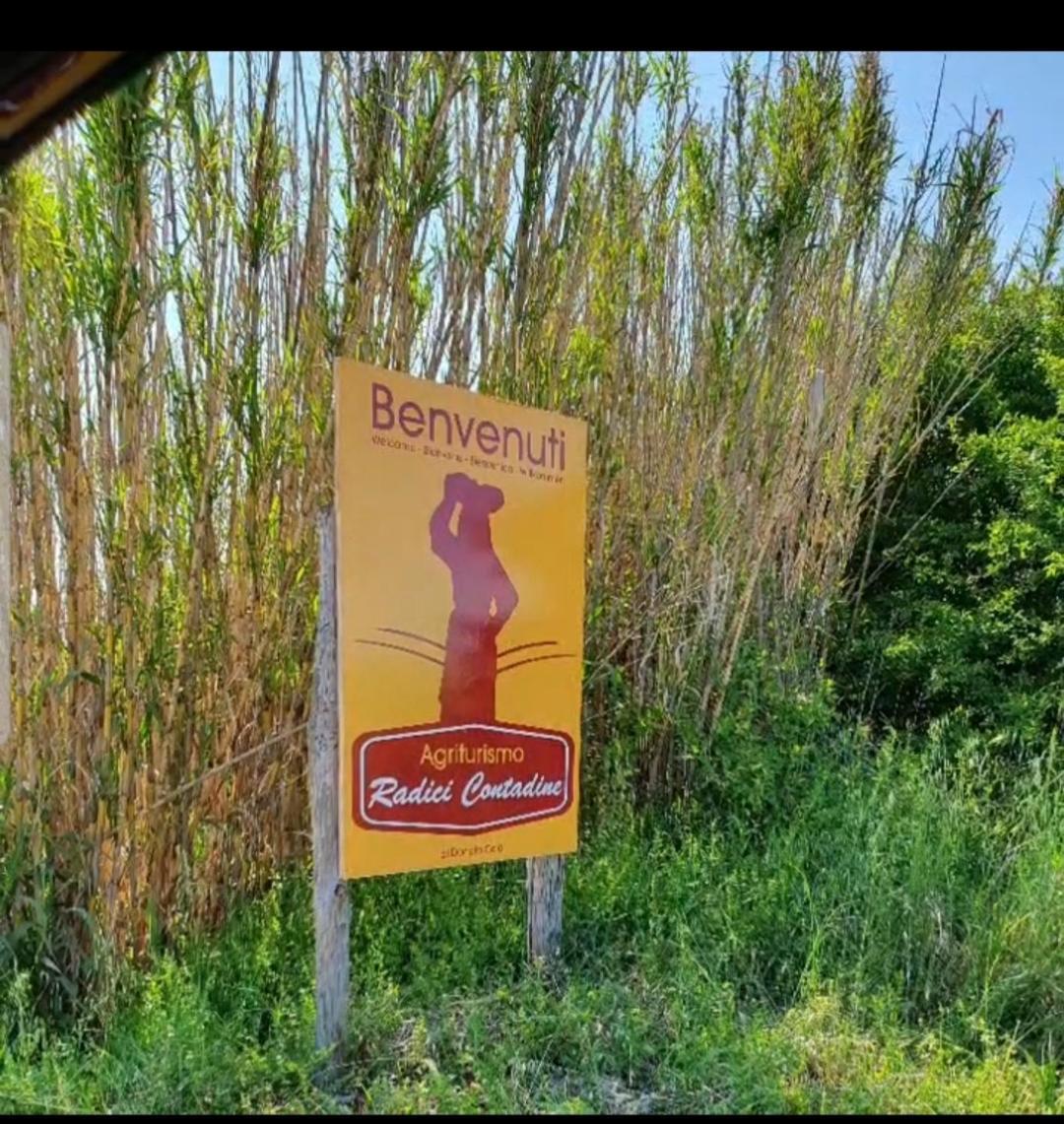 Agriturismo Radici Contadine Bisaccia المظهر الخارجي الصورة